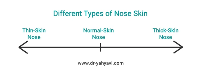 Range of Different Nose Skin Types